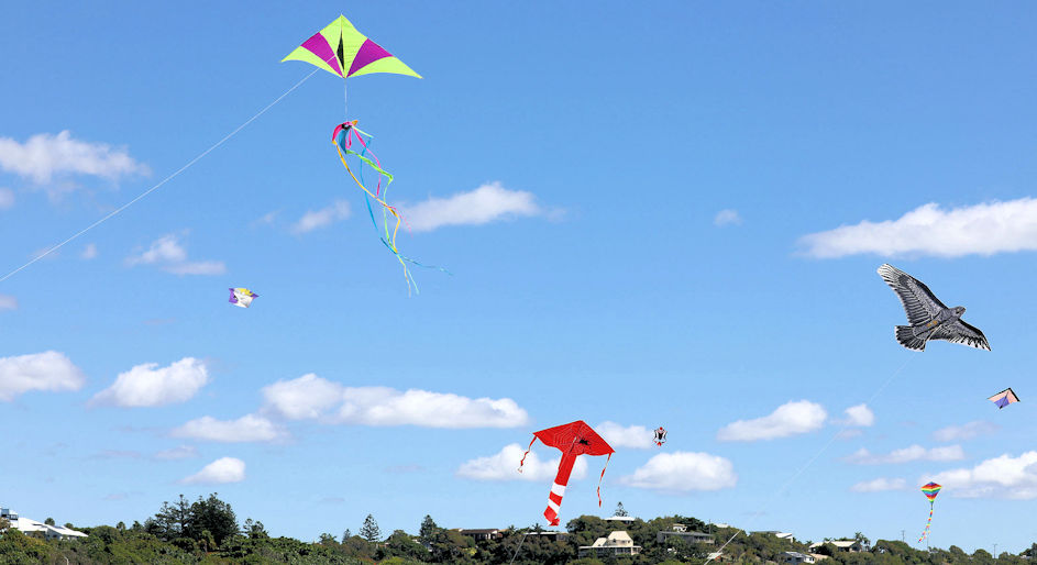 Festival of the Wind